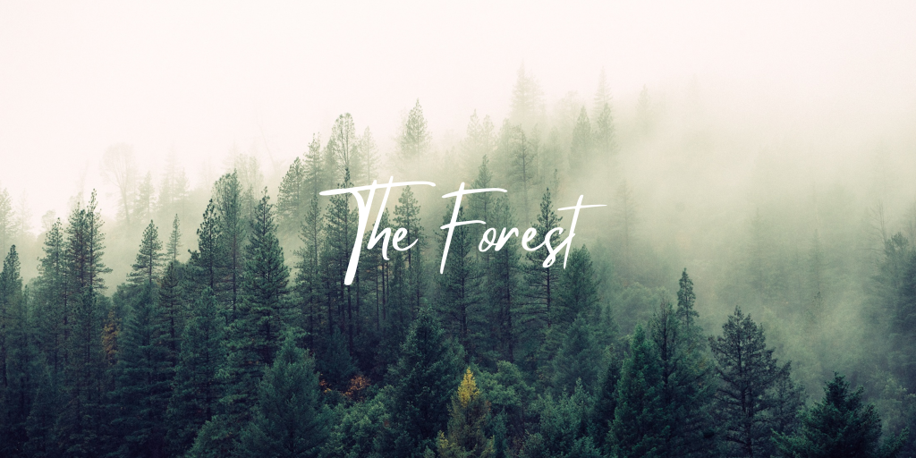 This image has an empty alt attribute; its file name is the-forest-1.png